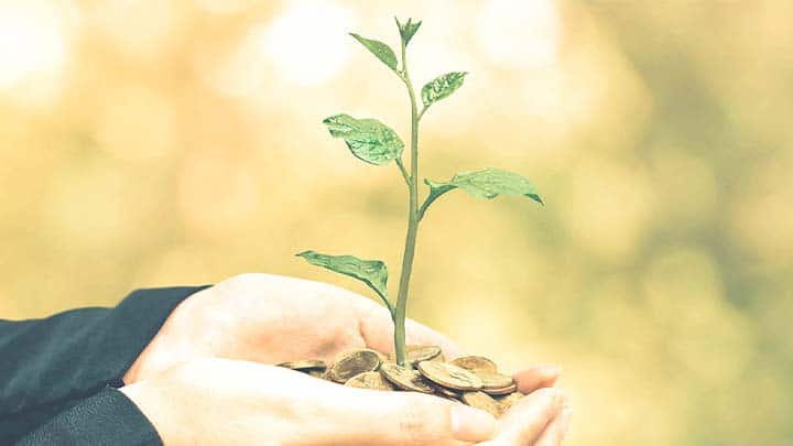 Accounting and Finance