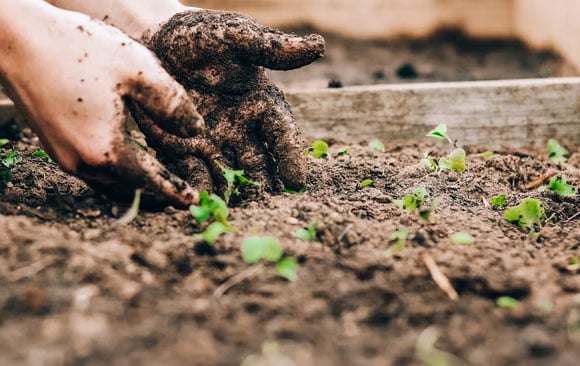 Corporate Social Responsibility Elements