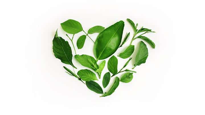 Launch your Environmental initiative in a few steps