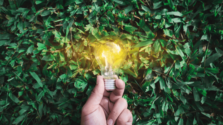 Why Sustainability is Now the Key Driver of Innovation